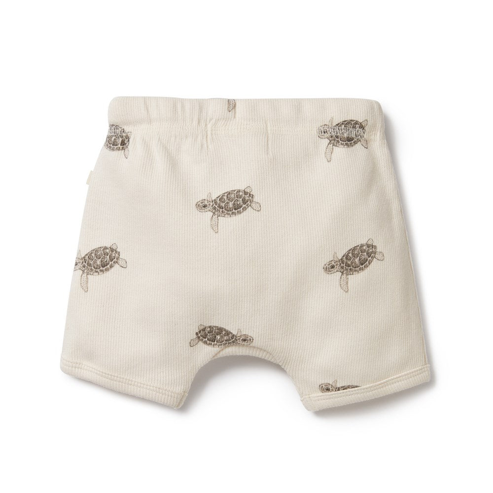 Tiny Turtle Organic Tie Front Short