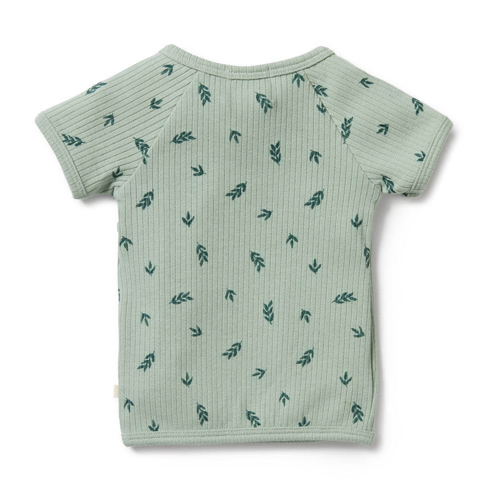 Falling Leaf Organic Rib Kimono Top